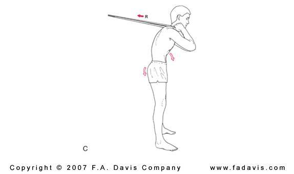Trunk flexion with resistance.JPG